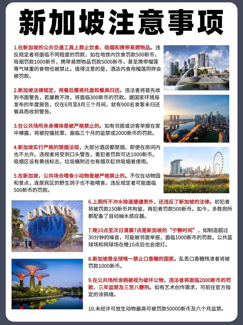 新澳2025年最新版资料、解释和落实和警惕虚假宣传