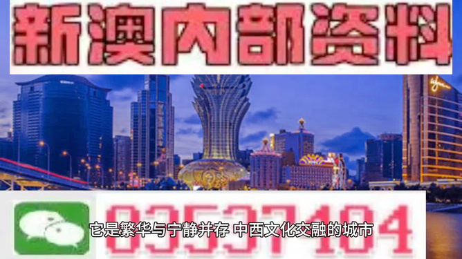 2025新澳正版今晚资料与澳门天天免费精准大全，详细解答、解释与落实