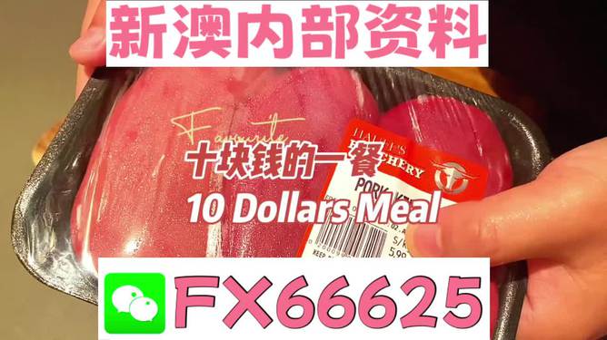 新澳2025最新版免费与2025精准免费资料大全,全面释义与警惕虚假宣传